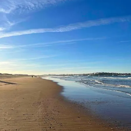 Mirando A Surf Y Playa *