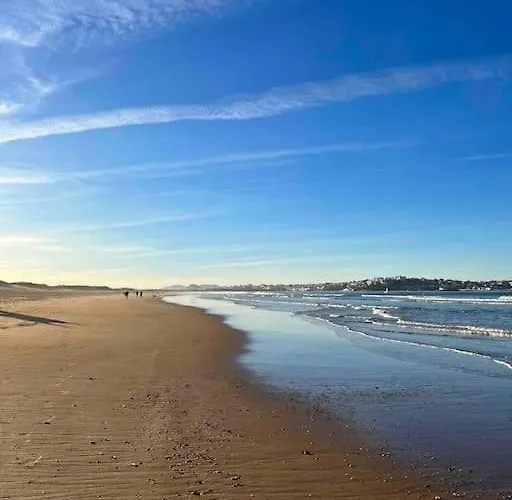 Mirando A Surf Y Playa *